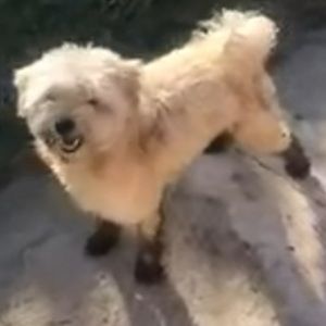 Meet your Posher, Gricelda